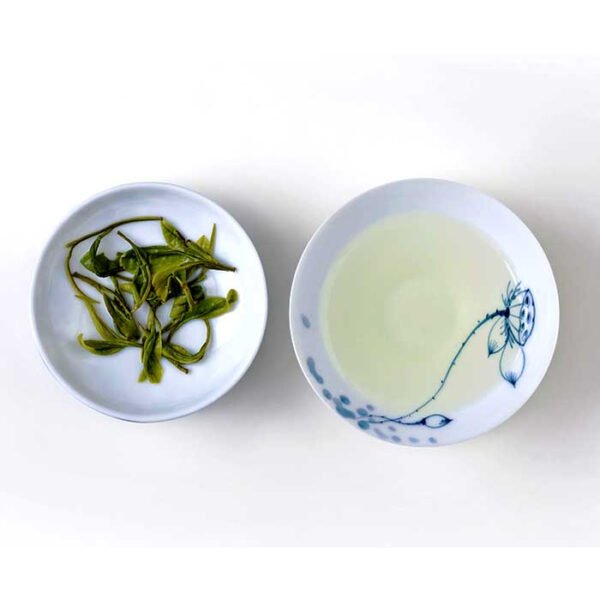 Anji White Tea - Image 3