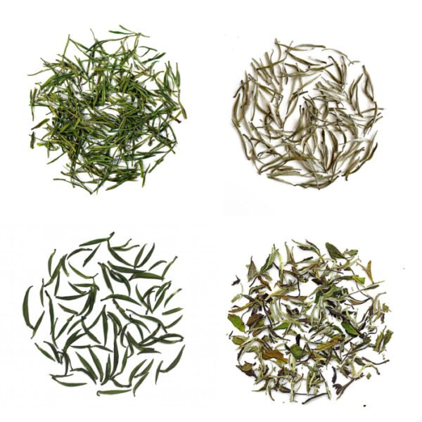 2024 Spring Green/White Tea Sample Set - Image 3