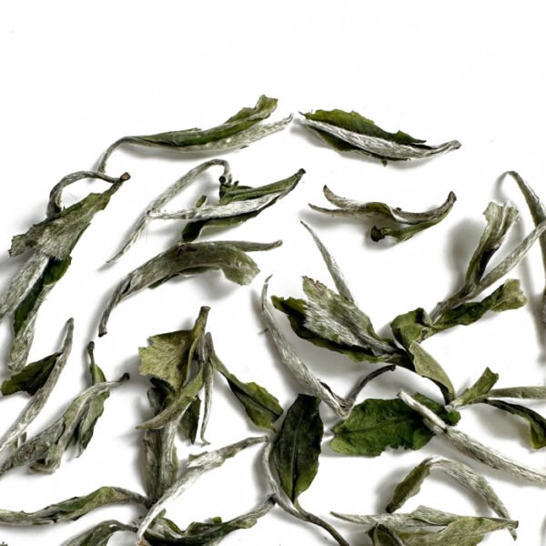 Fujian White Peony White Tea - Image 2